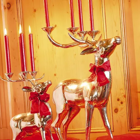 Alpenresidenz Trisanna 4*