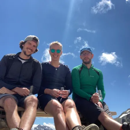 Alpenresidenz Trisanna 4*